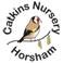 Catkins Nursery Horsham logo
